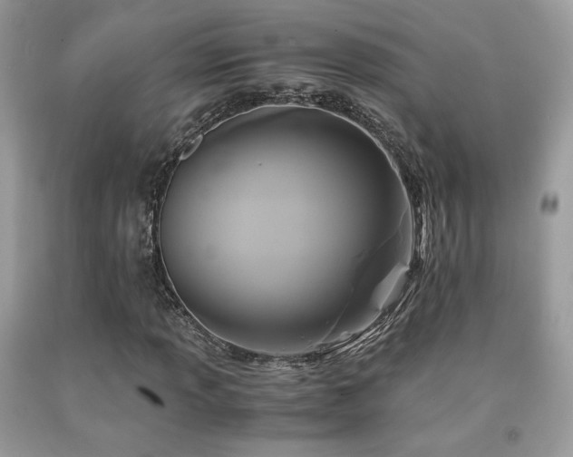 X0000092021013200709061549
