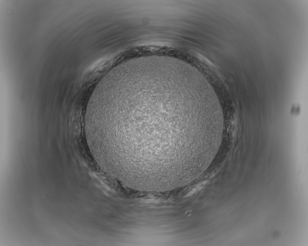 X0000092021014200709061549