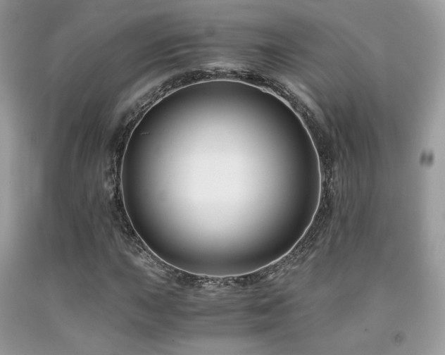 X0000092021015200709061549