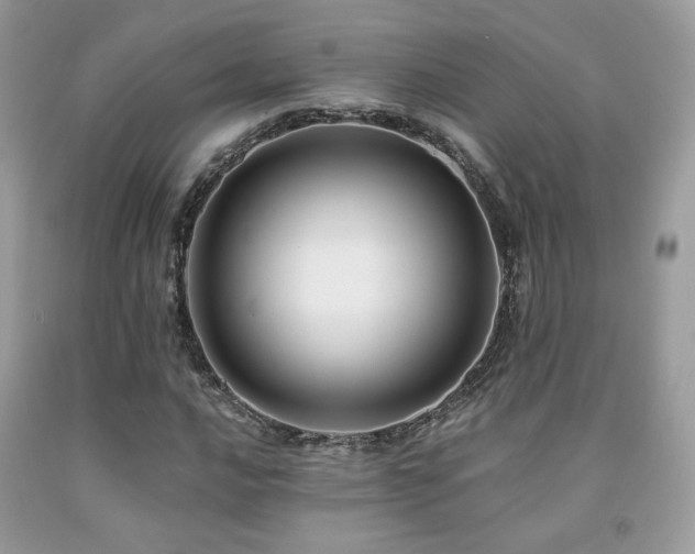 X0000092021016200709061549