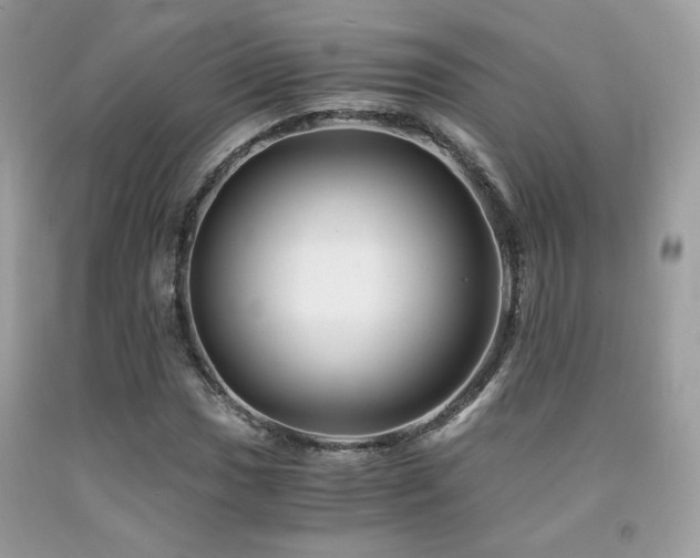 X0000092021017200709061549