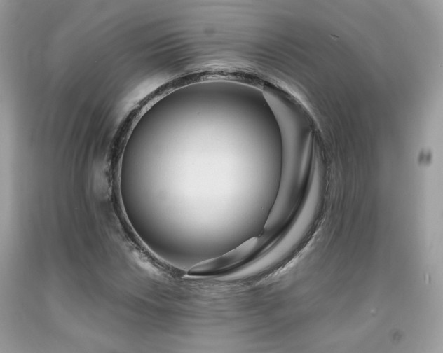 X0000092021018200709061549