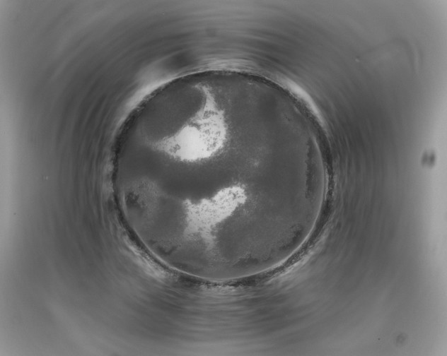 X0000092021019200709061549