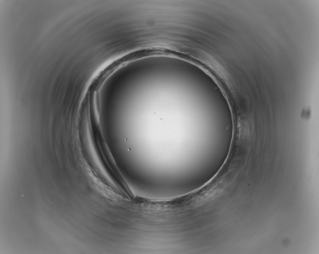 X0000092021020200709061549
