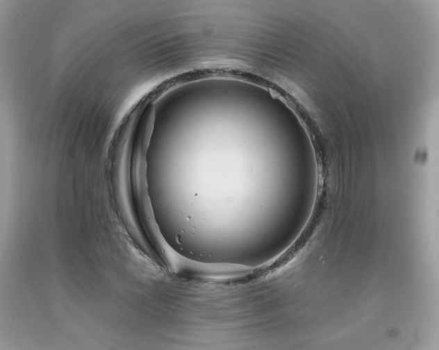 X0000092021022200709061549