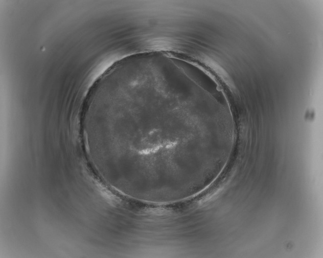 X0000092021023200709061549