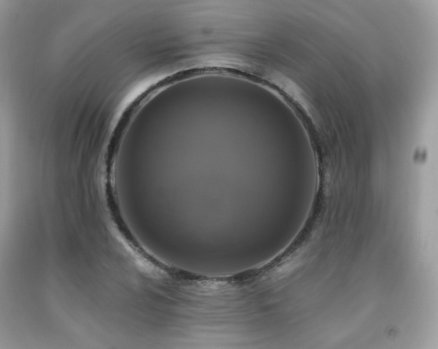 X0000092021024200709061549