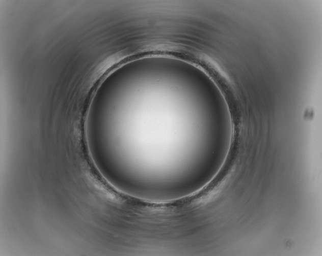 X0000092021025200709061549