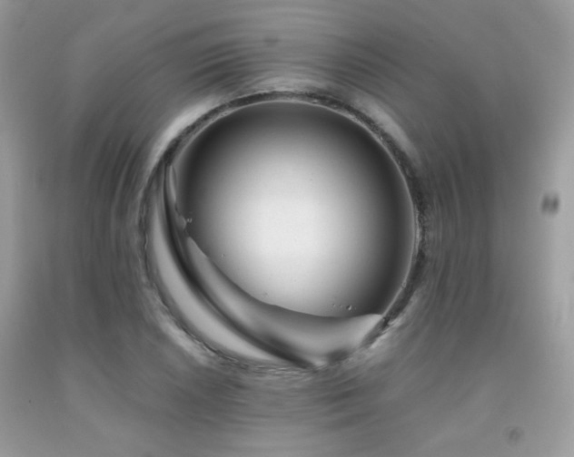 X0000092021026200709061549