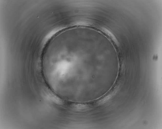 X0000092021027200709061549