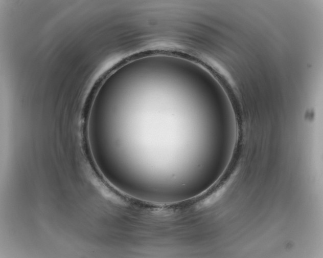 X0000092021029200709061549