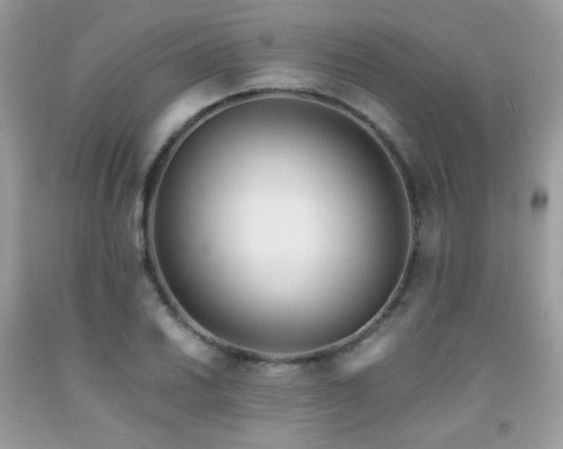 X0000092021030200709061549