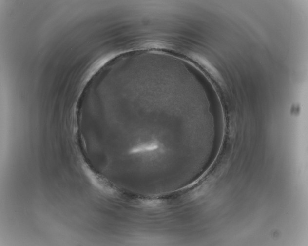 X0000092021031200709061549