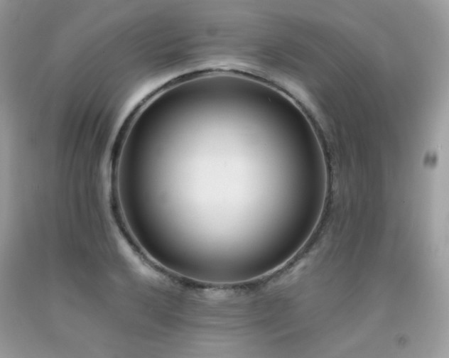 X0000092021032200709061549
