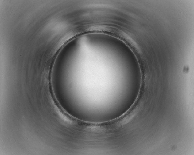 X0000092021033200709061549