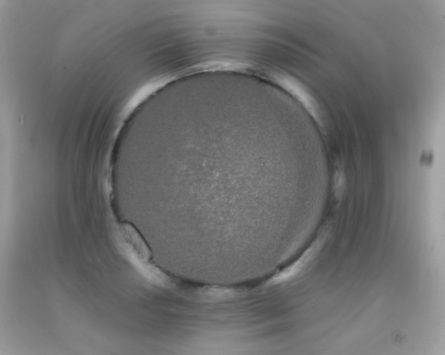 X0000092021034200709061549