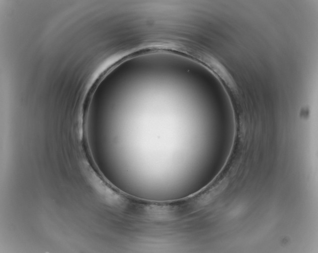 X0000092021036200709061549