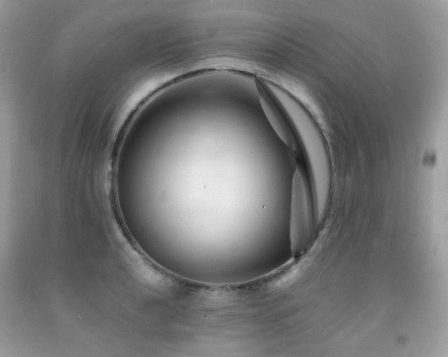 X0000092021040200709061549