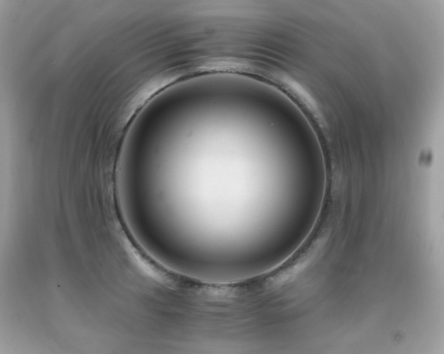 X0000092021041200709061549