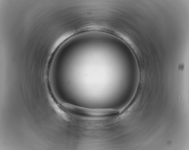 X0000092021042200709061549