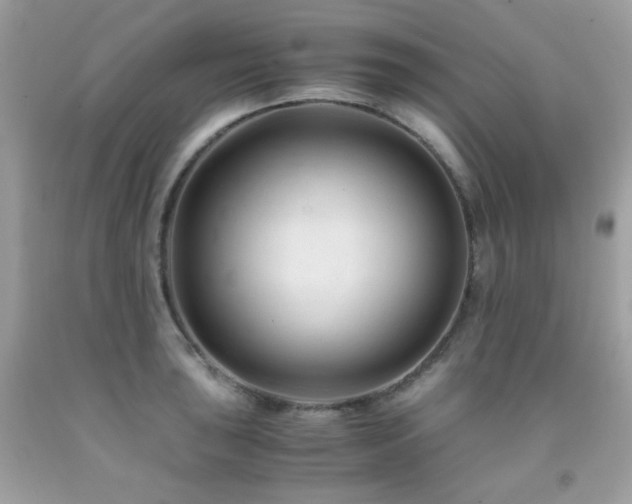 X0000092021043200709061549