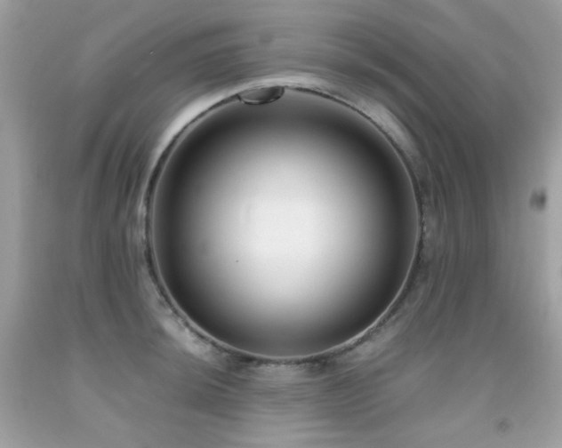 X0000092021044200709061549