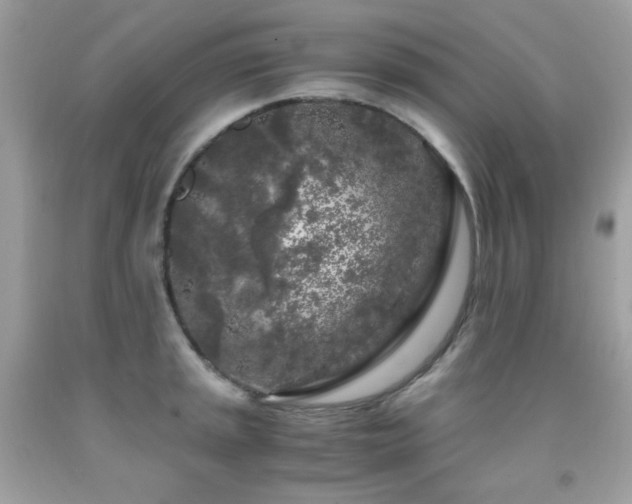 X0000092021045200709061549