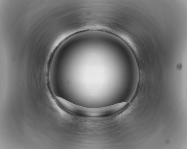 X0000092021046200709061549
