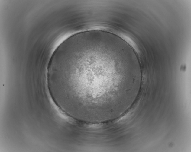 X0000092021047200709061549