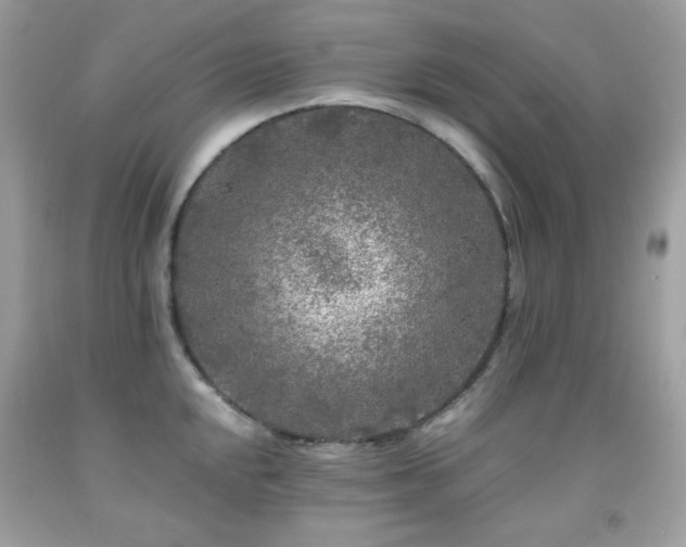 X0000092021048200709061549