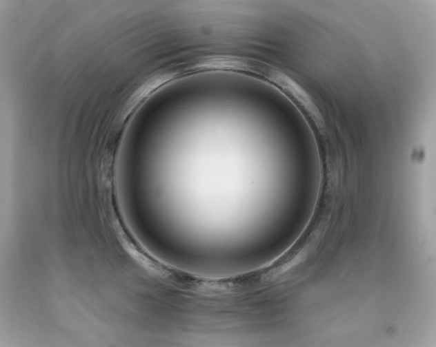 X0000092021049200709061549