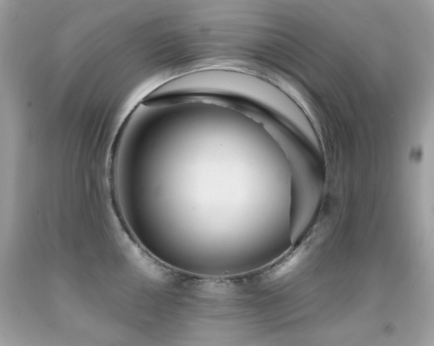 X0000092021050200709061549