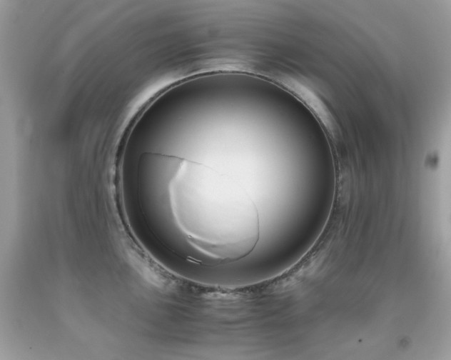 X0000092021051200709061549