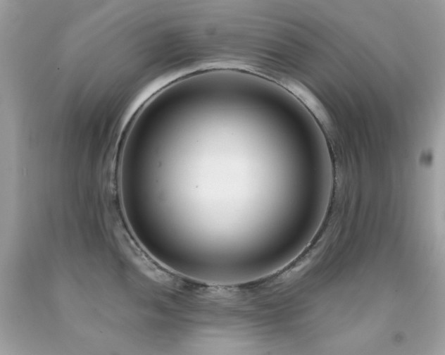 X0000092021052200709061549