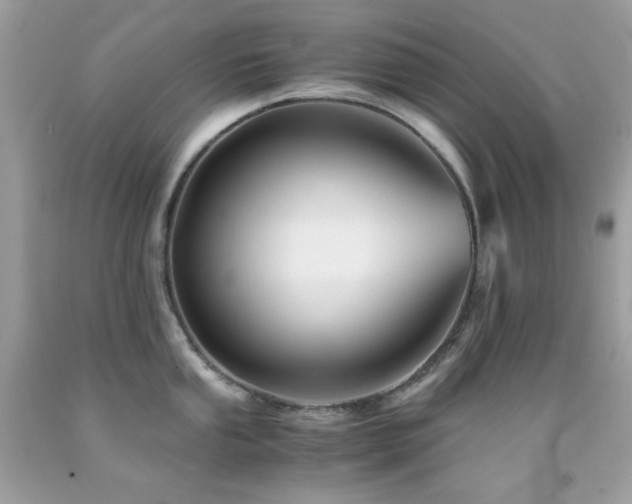 X0000092021053200709061549