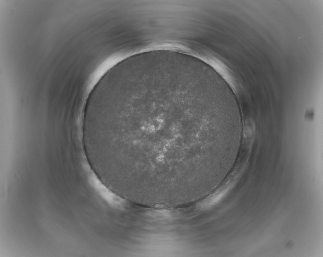 X0000092021054200709061549