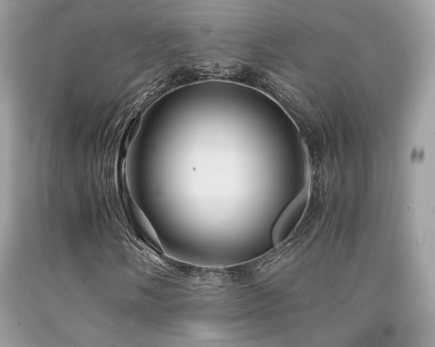 X0000092021058200709061549