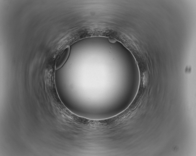 X0000092021059200709061549