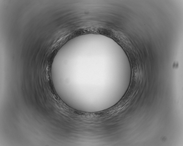 X0000092021060200709061549