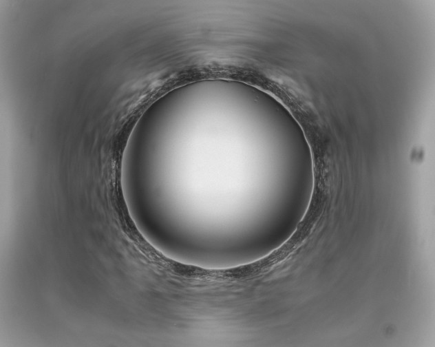 X0000092021061200709061549