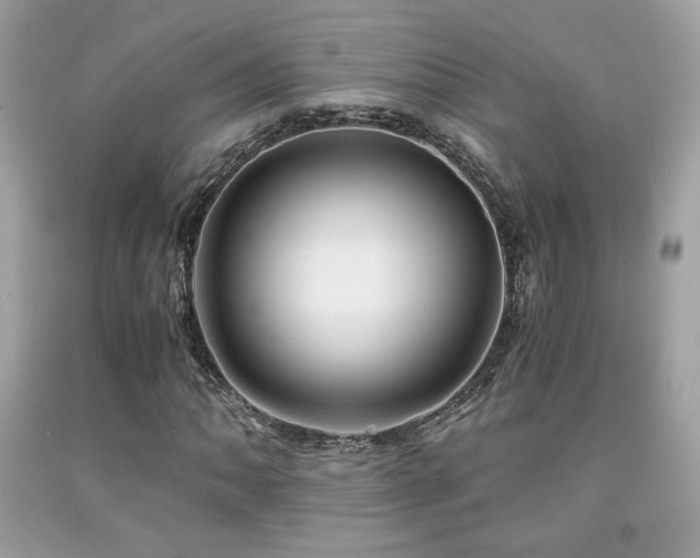 X0000092021062200709061549