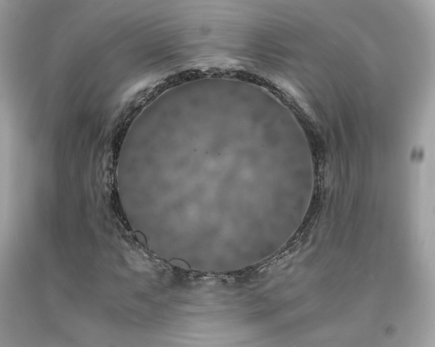 X0000092021063200709061549
