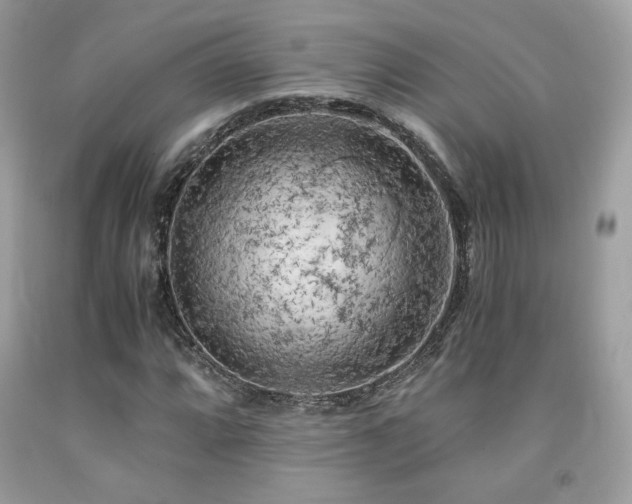X0000092021064200709061549