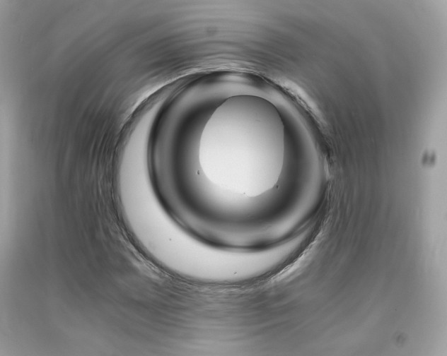 X0000092021065200709061549