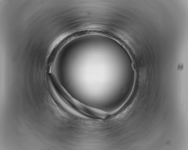 X0000092021066200709061549