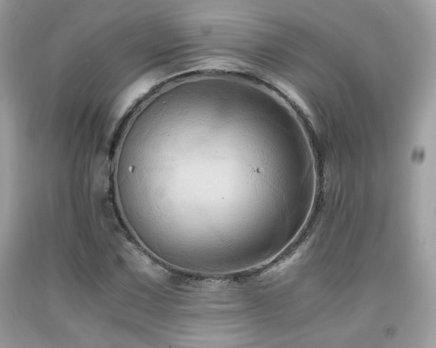 X0000092021067200709061548