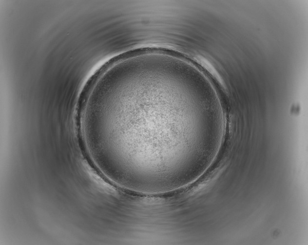 X0000092021068200709061548