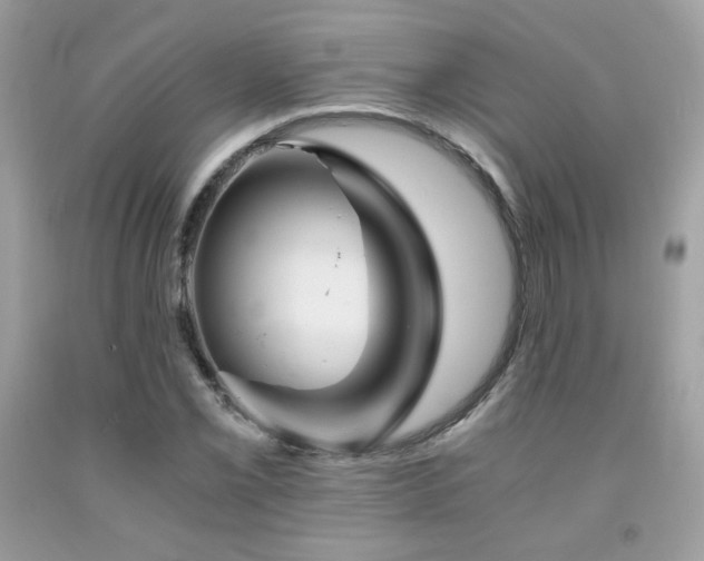 X0000092021069200709061548