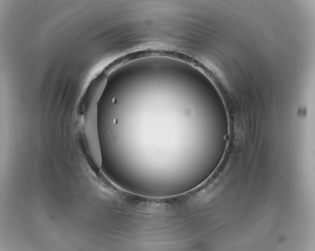X0000092021070200709061548