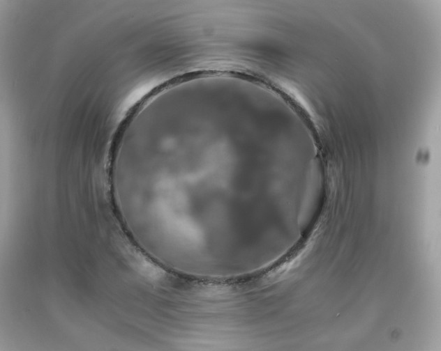 X0000092021071200709061548
